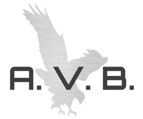 Логотип LV Immigration Attorney